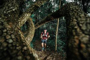 BIB: 
                            <button type="button" onclick="openModal(25673747)" class="btn btn-primary btn-sm float-right btn-popup" data-toggle="modal" data-target=".modal-high-quality">
                        <i class="fas fa-shopping-cart"></i> Add to Cart
                    </button>
                                            <button type="button" onclick="isThisMe(25673747, true)" class="btn btn-success btn-sm float-right btn-popup btn-isme hidden" data-toggle="tooltip" data-placement="bottom" title="นี่คือรูปของคุณใช่ไหม คลิกที่นี่เพื่อเอาเข้าอัลบั้ม">
                        <i class="fas fa-plus"></i> Add to album
                    </button>
                    <button type="button" onclick="isThisMe(25673747, false)" class="btn btn-warning btn-sm float-right btn-popup btn-isnotme hidden">
                        <i class="fas fa-ban"></i> Remove from album
                    </button>